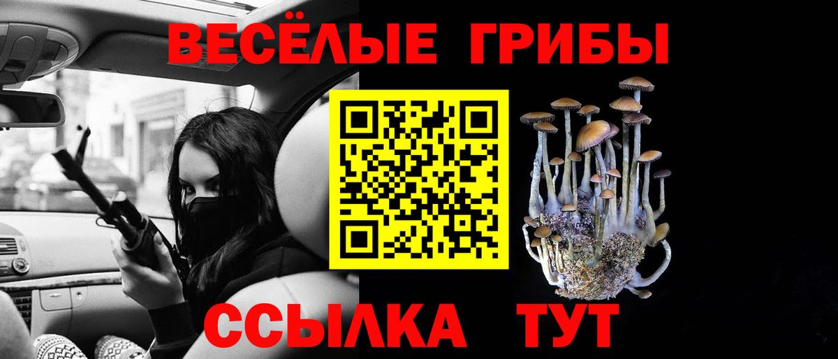 Галлюциногенные грибы мицелий Белорецк